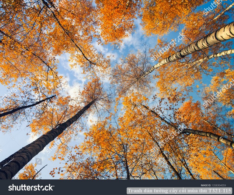 Tranh dán tường cây cối mùa thu T321-115